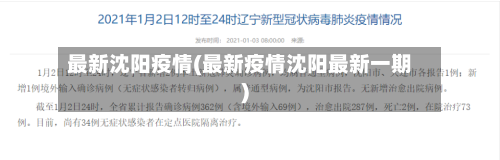 最新沈阳疫情(最新疫情沈阳最新一期)-第2张图片