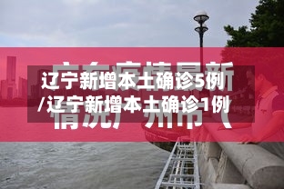 辽宁新增本土确诊5例/辽宁新增本土确诊1例