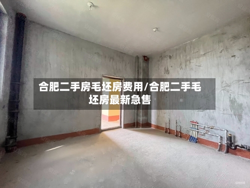 合肥二手房毛坯房费用/合肥二手毛坯房最新急售-第2张图片