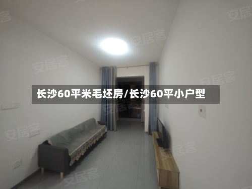 长沙60平米毛坯房/长沙60平小户型-第2张图片