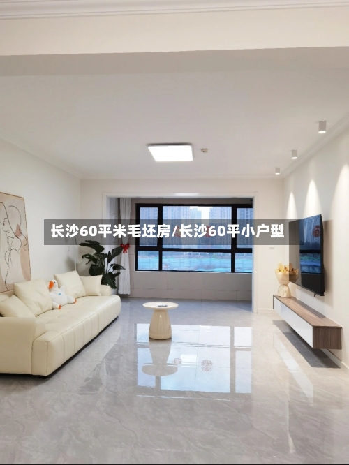长沙60平米毛坯房/长沙60平小户型-第3张图片