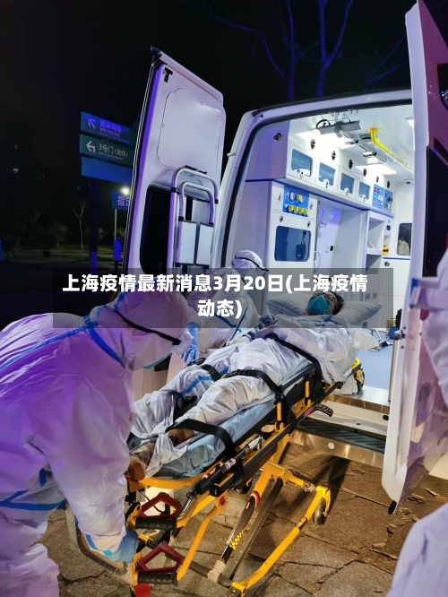 上海疫情最新消息3月20日(上海疫情动态)-第1张图片