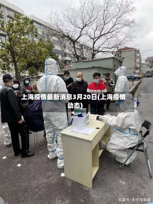 上海疫情最新消息3月20日(上海疫情动态)-第2张图片