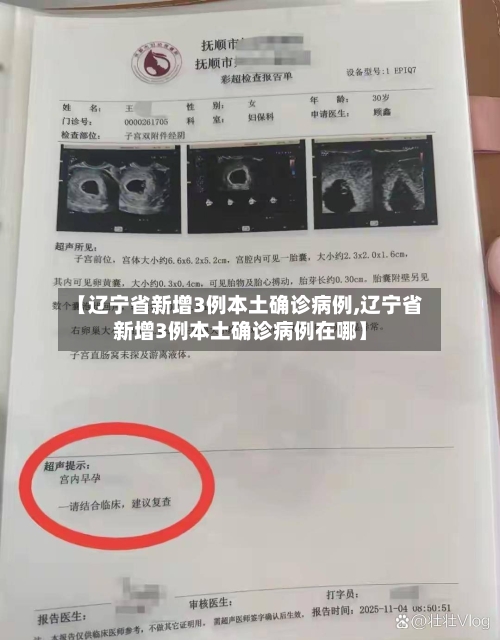【辽宁省新增3例本土确诊病例,辽宁省新增3例本土确诊病例在哪】-第1张图片