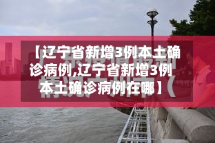 【辽宁省新增3例本土确诊病例,辽宁省新增3例本土确诊病例在哪】-第2张图片