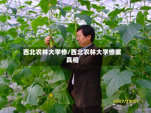 西北农林大学惨/西北农林大学惨案真相