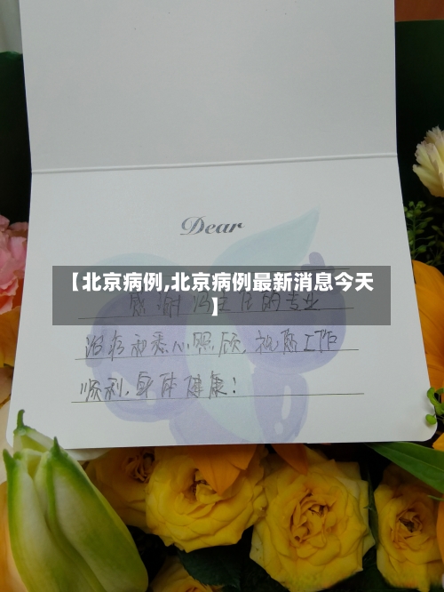 【北京病例,北京病例最新消息今天】-第2张图片