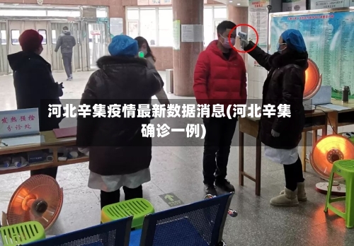 河北辛集疫情最新数据消息(河北辛集确诊一例)-第2张图片