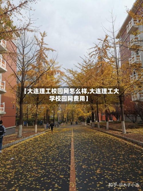 【大连理工校园网怎么样,大连理工大学校园网费用】-第1张图片