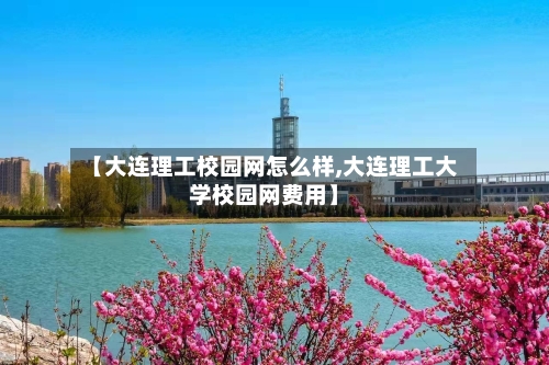 【大连理工校园网怎么样,大连理工大学校园网费用】-第2张图片