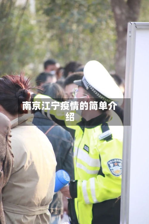 南京江宁疫情的简单介绍-第2张图片