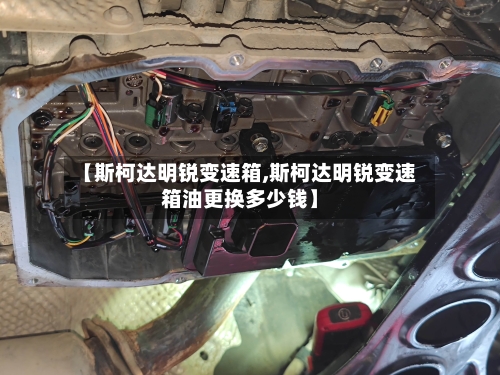 【斯柯达明锐变速箱,斯柯达明锐变速箱油更换多少钱】