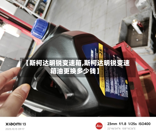 【斯柯达明锐变速箱,斯柯达明锐变速箱油更换多少钱】-第2张图片