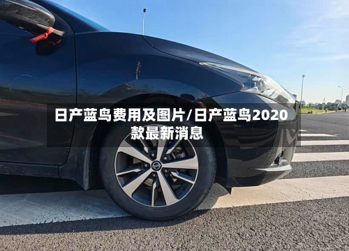 日产蓝鸟费用及图片/日产蓝鸟2020款最新消息