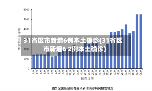 31省区市新增6例本土确诊(31省区市新增6 2例本土确诊)