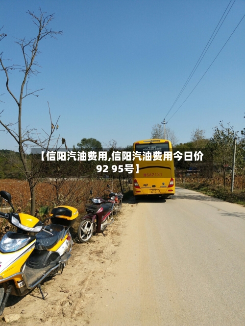 【信阳汽油费用,信阳汽油费用今日价92 95号】-第3张图片