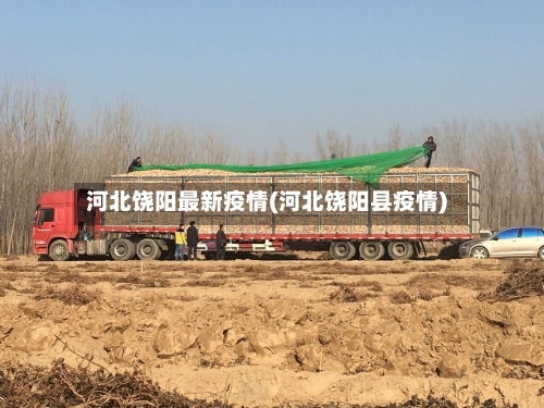 河北饶阳最新疫情(河北饶阳县疫情)-第3张图片