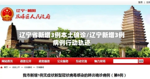 辽宁省新增3例本土确诊/辽宁新增3例病例行动轨迹-第3张图片