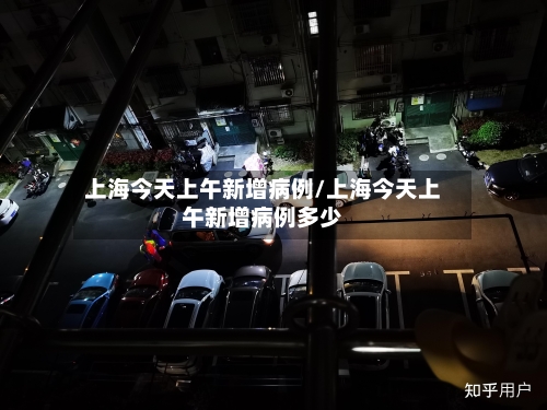 上海今天上午新增病例/上海今天上午新增病例多少