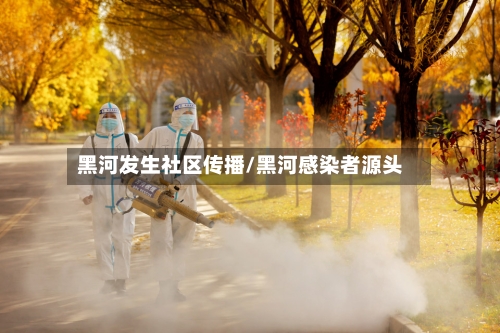 黑河发生社区传播/黑河感染者源头-第2张图片