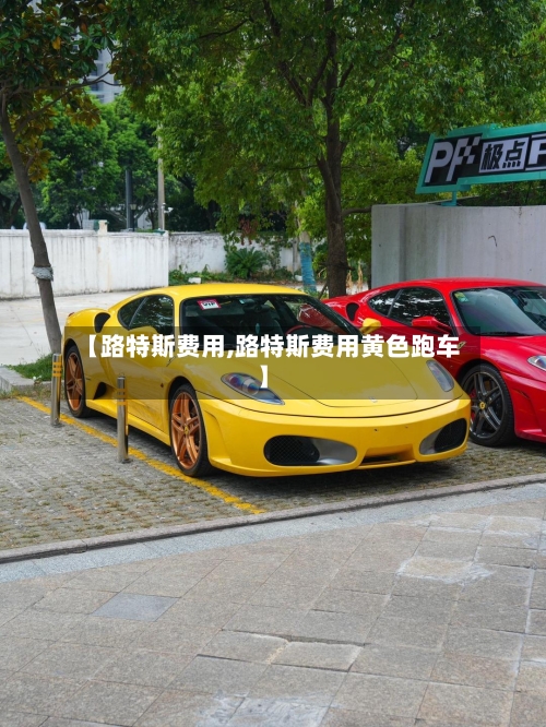 【路特斯费用,路特斯费用黄色跑车】