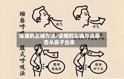 吸烟的正确方法/吸烟的正确方法是否从鼻子出来-第2张图片