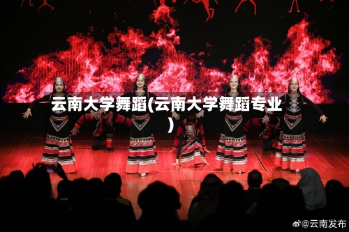 云南大学舞蹈(云南大学舞蹈专业)-第2张图片