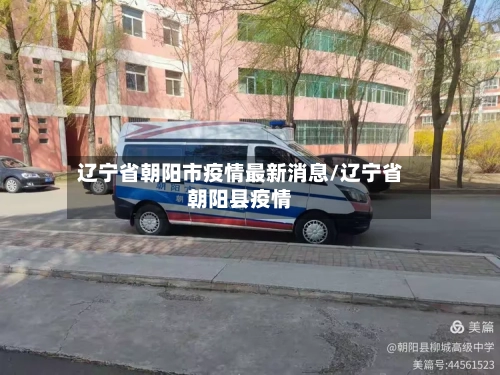 辽宁省朝阳市疫情最新消息/辽宁省朝阳县疫情-第3张图片