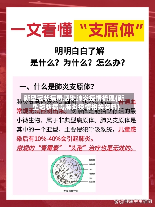 新型冠状病毒感染肺炎疫情梳理(新型冠状病毒肺炎疫情相关资料)-第2张图片