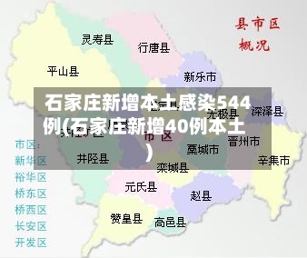 石家庄新增本土感染544例(石家庄新增40例本土)-第3张图片