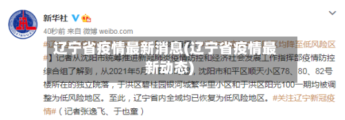 辽宁省疫情最新消息(辽宁省疫情最新动态)-第2张图片
