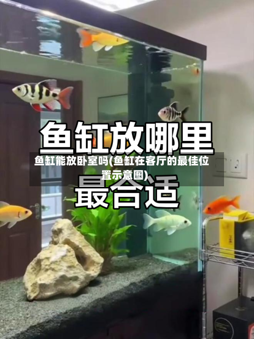 鱼缸能放卧室吗(鱼缸在客厅的最佳位置示意图)