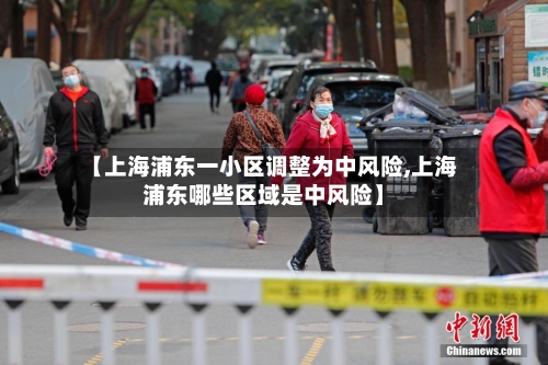 【上海浦东一小区调整为中风险,上海浦东哪些区域是中风险】
