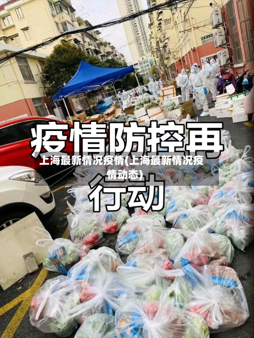 上海最新情况疫情(上海最新情况疫情动态)-第3张图片