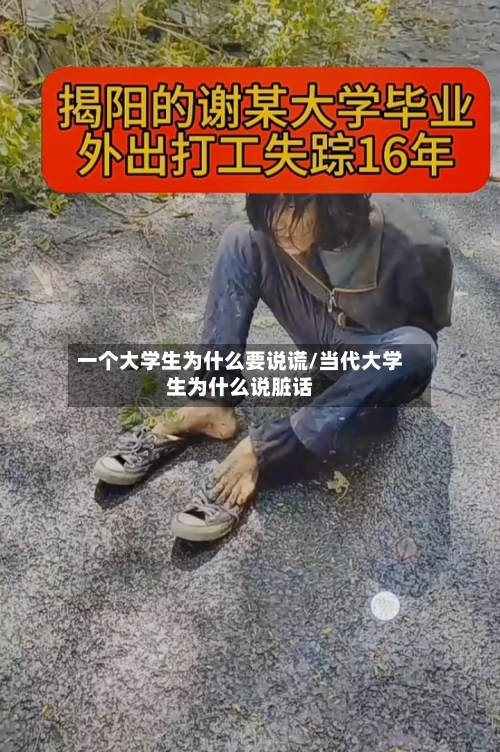 一个大学生为什么要说谎/当代大学生为什么说脏话