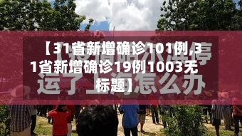 【31省新增确诊101例,31省新增确诊19例1003无标题】