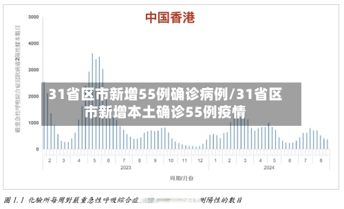 31省区市新增55例确诊病例/31省区市新增本土确诊55例疫情