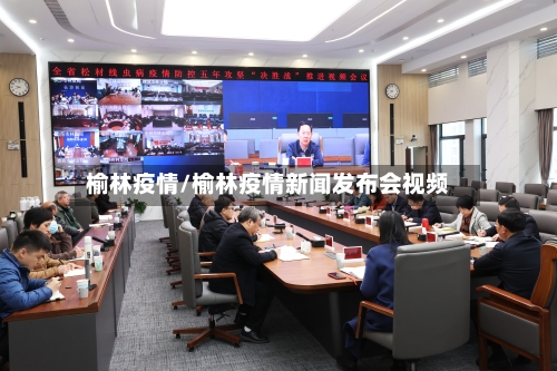 榆林疫情/榆林疫情新闻发布会视频
