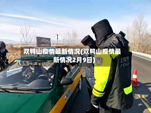 双鸭山疫情最新情况(双鸭山疫情最新情况2月9日)-第3张图片