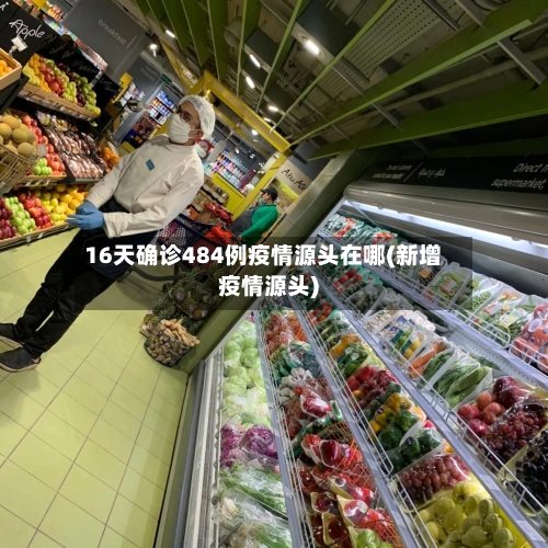16天确诊484例疫情源头在哪(新增疫情源头)-第3张图片