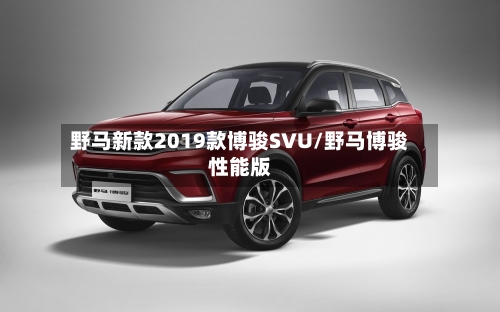 野马新款2019款博骏SVU/野马博骏性能版-第2张图片