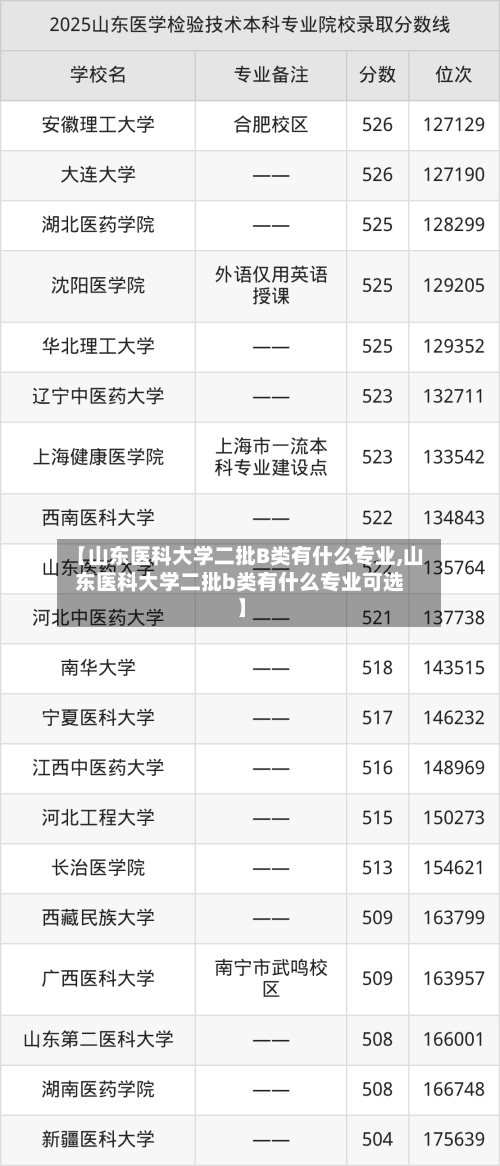【山东医科大学二批B类有什么专业,山东医科大学二批b类有什么专业可选】