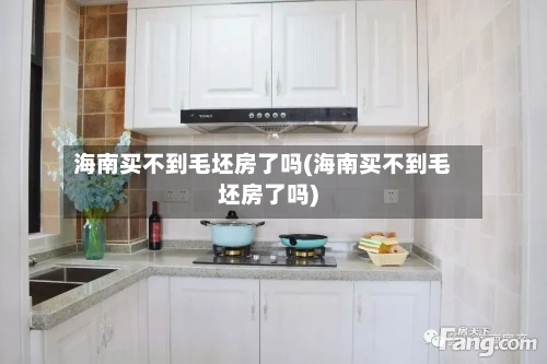 海南买不到毛坯房了吗(海南买不到毛坯房了吗)