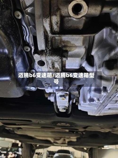 迈腾b6变速箱/迈腾b6变速箱型号