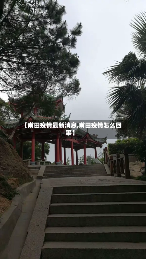 【甫田疫情最新消息,甫田疫情怎么回事】-第2张图片