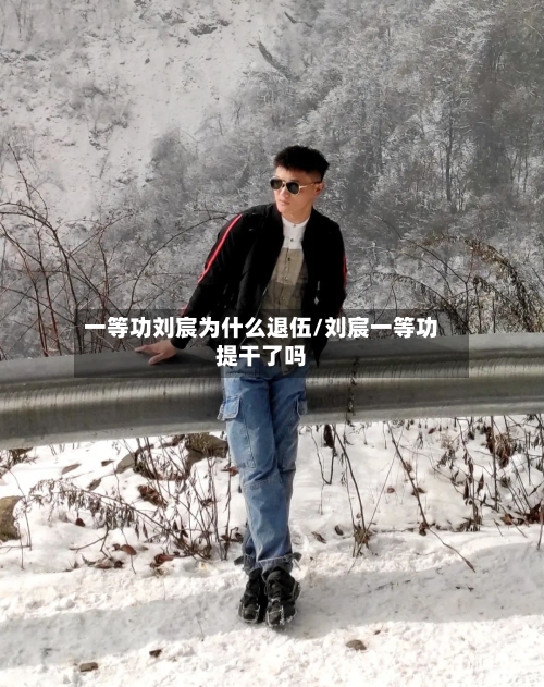 一等功刘宸为什么退伍/刘宸一等功提干了吗