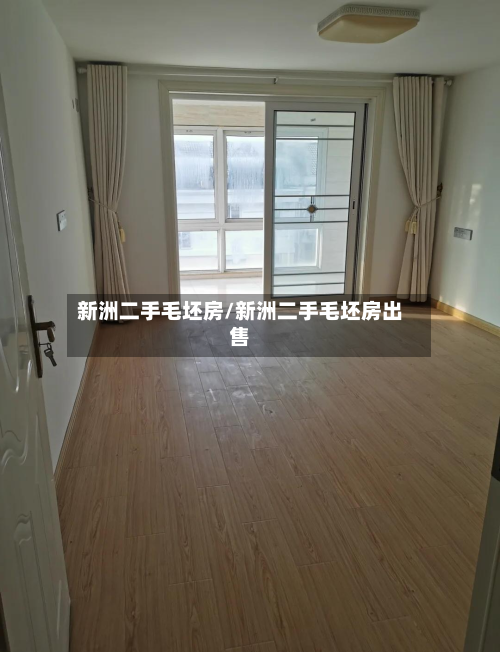 新洲二手毛坯房/新洲二手毛坯房出售