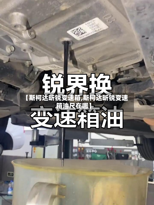 【斯柯达昕锐变速箱,斯柯达昕锐变速箱油尺在哪】-第3张图片