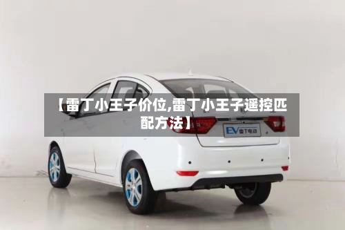 【雷丁小王子价位,雷丁小王子遥控匹配方法】