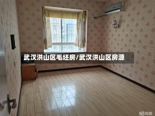 武汉洪山区毛坯房/武汉洪山区房源-第3张图片